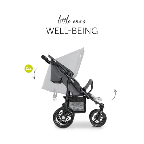hauck Geschwisterwagen Roadster Duo SLX, Zwillingsbuggy ab Geburt bis 15 kg (ca. 3 Jahren) mit Liegefunktion, XL Korb, Einfach und Klein Zusammenklappbar, Große Räder (Grey/Silver)