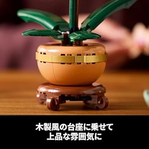 Amazon.co.jp - レゴ® ボタニカル ラン＜ミニ＞ 10343