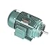 Leeson Electric 170139.60 - General Purpose Motor - 3 ph, 10 hp, 1200 rpm, 208-230/460 V, 256TC Frame, Totally Enclosed Fan Cooled Enclosure, 60 Hz, Rigid base Mount
