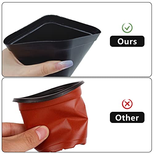 WAIZHIUA 50Pcs Plant Flower Pots 10cm Plastic Square Plant Nursery Pots Small Flower Plant Container for Succulent Fruit Vegetable Seedlings Transplanting - Image 4