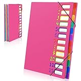Gemtte Fächermappe A4, Mappen Ordnersystem mit 12 Fächern, 24 Taschen Dokumentenmappe Folder, Bunte Wasserdicht Ordnungsmappe für Schule Bürobedarf (Rosenrot)