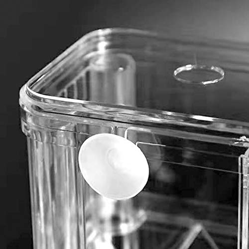 FGXY Aquariumvissen Fokdoos, Aquarium Fokken Isolatie Box, Multifunctionele Fokken Incubator Doos, Fokkerij Incubator… - Afbeelding 4