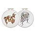2 Set of Handmade Embroidery Starter Kit with Partten Cross Stitch Kit Including Embroidery Cloth,Bamboo Embroidery Hoop, Color Threads, and Tools Kit for Beginner (#2) ...