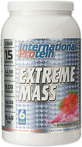 wellness best protein shake for weight gain
