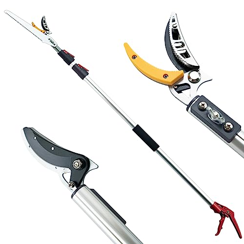 The 7 Best Loppers With Telescopic Pole Guidebook