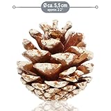 Zoom IMG-2 com four 30x ciondoli pigne Zoom IMG-2 com four 30x ciondoli pigne