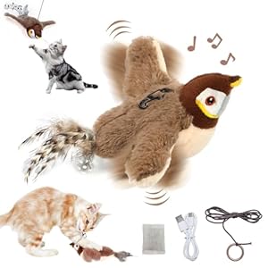 Katzenspielzeug Vogel Elektrisch mit Katzenminze,Aufladbar Interaktives Katzenspielzeug Vogel,Katzenspielzeug Selbstbeschäftigung Vogel,Fliegender Vogel Katzenspielzeug,Flying Bird Cat Toy