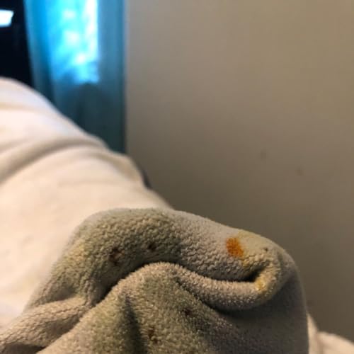 『Jack Nick Smitherson's | Dino Stories』のカバーアート