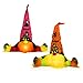 QNMM 2 Pcs Halloween GNOME Peluche Poupée Halloween Décoration Poupée sans Visage avec Longue Barbe Halloween Nain Ornement, Poupée Illuminée