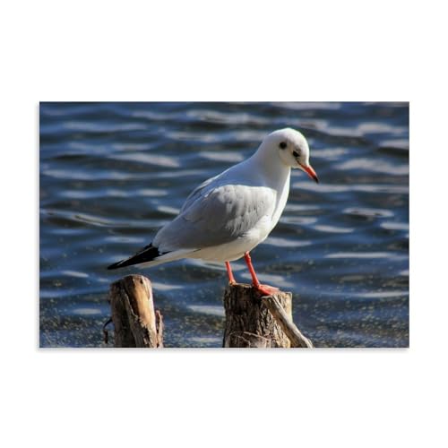 Póster de gaviota y cuadro de pájaro divertido para decoración de pared moderna