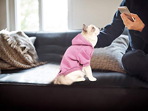 2 Pack Pet Dog Clothes, Knitwear Dog Sweater Dog Hoodie Sweatshirts, Soft Thickening Warm Dog Sweaters Pet Clothes Coat For Small Dogs,Cats (Pink, X-Large) #TOP3