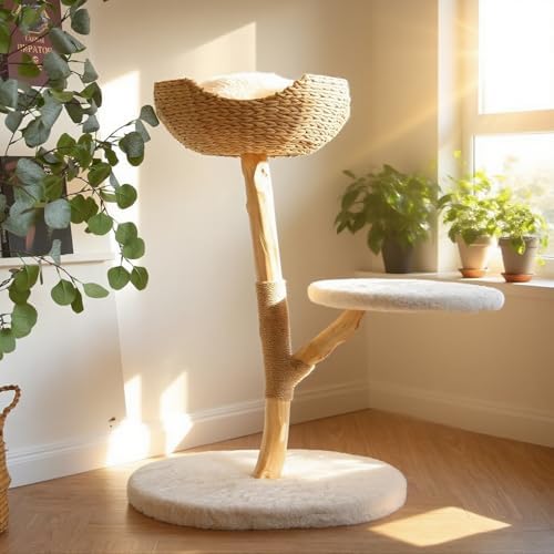 Modern Cat Tree, Natural Pear Wooden Cat Tower for Indoor Cats, R...