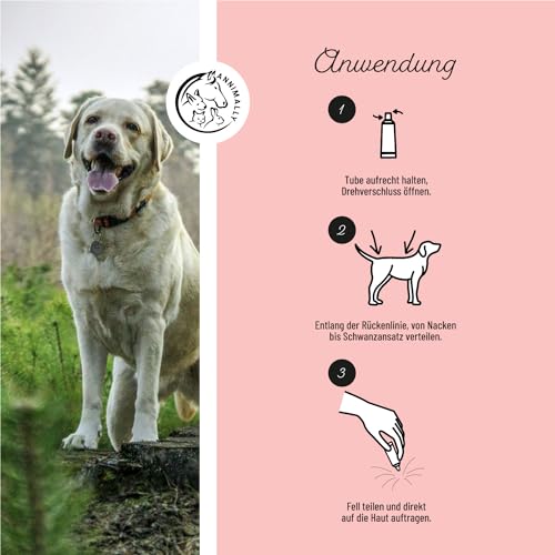 Annimally Floh- und Zeckenschutz Spot ON für Hunde - Effektives Zeckenmittel für Hunde, 3 Monate Langzeitschutz Flohmittel & Zeckenschutz - (30-50kg)