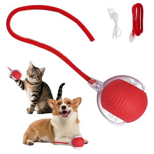vecora Juguetes interactivos inteligentes para gatos (1 rojo)