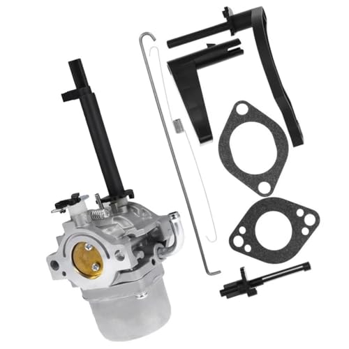 Carburateur 793779 pour moteur 10HP compatible avec modèles 698305 793778 et 1450