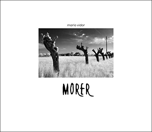  Morer
