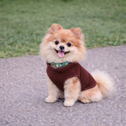 Image of JACKO & CO - Fleece Vest Dog Sweater with Leash Ring - Soft, Warm & Lightweight Pullover Coat for Small & Medium Dogs, Puppies & Cats - Cozy Fall /Winter /Spring Pet Jacket (Chocolate Brown, M (6-10lbs)