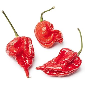 Trinidad Scorpion Pebbles Candy