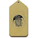Conjunto de 10 etiquetas. Azeeda 10 x \'Fósil de Trilobites\' Regalo/Equipaje Etiquetas (TG00097891)