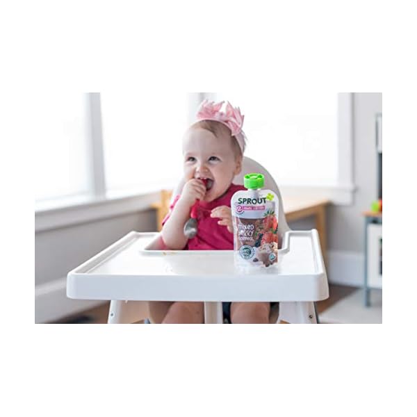 Sprout Organic Baby Food, Stage 2 Pouches, Fruit Veggie & Grain Blend, Mixed Berry Oatmeal, 3.5 Oz Purees (Pack of 6)