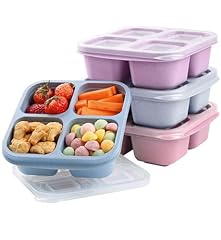 4 Pack-4 Compartments-B