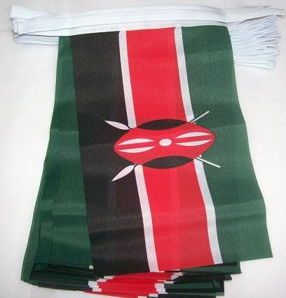 Image of AZ FLAG Kenya 6 meters BUNTING Flag 20 flags 9'' x 6'' - Kenyan STRING flags 15 x 21 cm