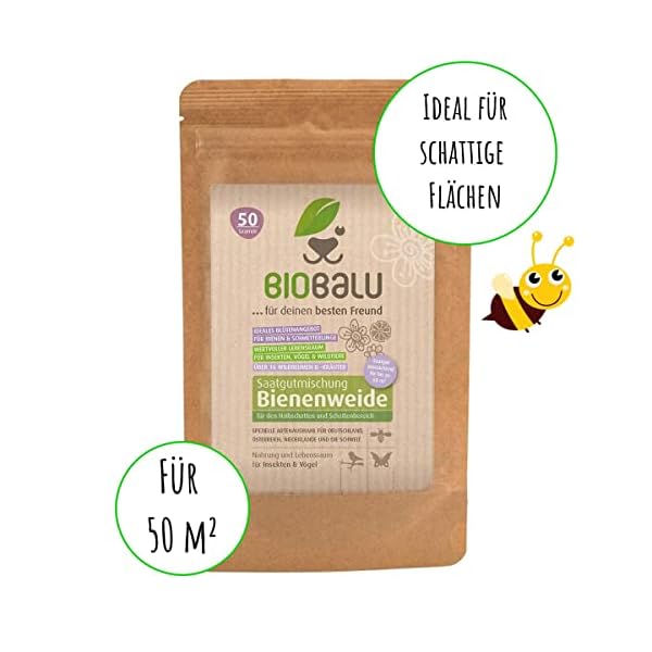 Biobalu Öko Blumenmischung Bienenweide speziell für den Halbschatten- und Schattenbereich + für bis zu 50 qm, mehrjährig… – Bild 5