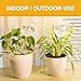 KiKiHeim Plant Watering Globes Self Watering Planter Insert Glass Spikes, Hand Blown Clear Automatic Water Bulbs for Outdoor&Indoor Plants, 6.4oz/190ml Capacity, 3 Cats