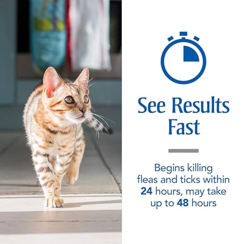Image of Medfly Spot On Solution for Cats (Pack of 3) | Effective Treatment for Tick, Flea, Lice | Complete Parasite Protection - Keeps Cats and Kittens Healthy and Happy (Pack of 3)