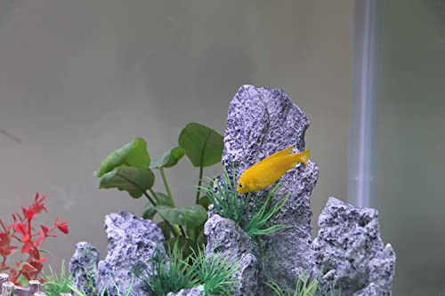 Aqua Kt Aquarium Mountain Cichlid Stone Rock Betta Fish Hide Natural View For Marine Or Freshwater Aquarium Landscape Large Fish Tank Decoration, Pack Of 1 #TOP2