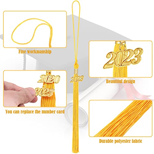 14 Pieces Graduation Tassel Academic Graduation Hat Tassel With 2023 Year Charm Decoration For Graduates Ceremonies Parties Accessories (Gold) #TOP1