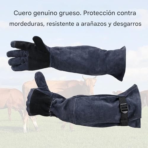 Guantes para manipulación de gatos multipropósito con protección de 60 cm 4
