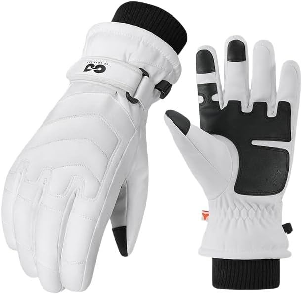 Winter Ski Snow Gloves for Men Women Youth, Touchscreen, Waterproof, Windproof, Cold Weather, Hand Warming, Work Gloves