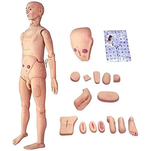 BJYX Krankenpflege Pflegepuppe 170 cm Lebensgröße Menschliche Puppe PVC Patientenversorgung Unterricht Krankenpflege-Puppe für die medizinische Krankenpflege Lehre & Ausbildung Medizinische