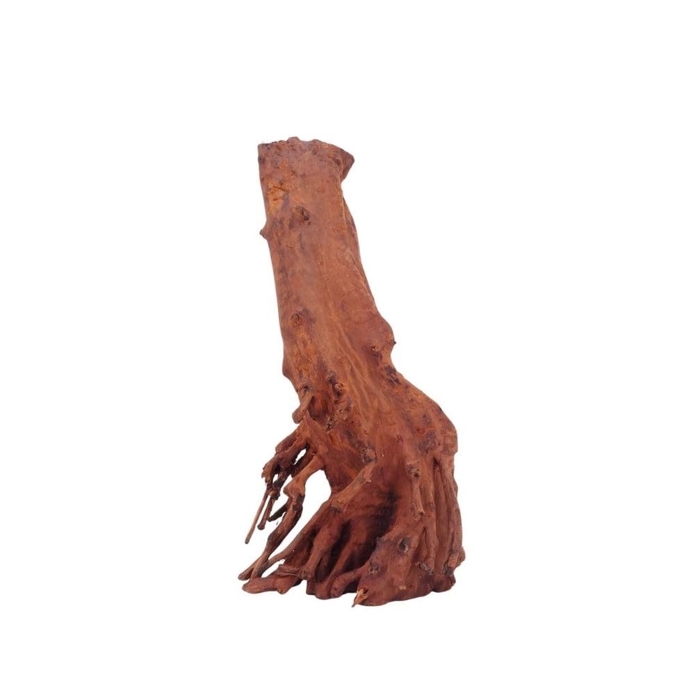 AquaOne Aquarium Wurzel M Jungle Wood Nr.4486 Aquarium Wurzel Holz Deko Aquascaping Dekoration Landschaft Moos Natur Echtholz