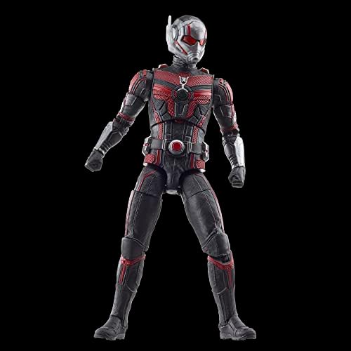 Marvel Legends Series Ant-Man, Ant-Man & The Wasp: Quantumania Collectible 6-Inch Action Figures, Ages 4 and Up 7 41EKPSnRALL. AC