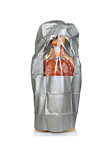 Image of Parco Scientific 17 Removable Parts Sexless Human Torso | Open Back Exposes Muscular Layers, With Instruction Manual and Zip Dust Cover, Human Torso model