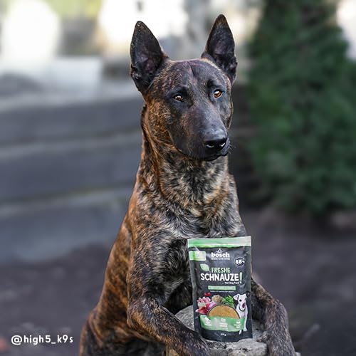 Bosch Freshe Schnauze, Pute mit Quinoa und Spinat 1 x 400 g, Schonend Dampfgegartes Nassfutter für Hunde, Vollwertiges Alleinfuttermittel mit hohem Fleischgehalt, 400 g Hundenassfutter