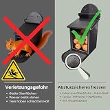Eichhörnchen Futterhaus Braun – Wetterfest & Stabil mit Kunststoffscheibe, Belüftetem Futterreservoir & Rutschfester Sitzfläche – Sicher & Langlebig für Garten & Balkon (Braun)