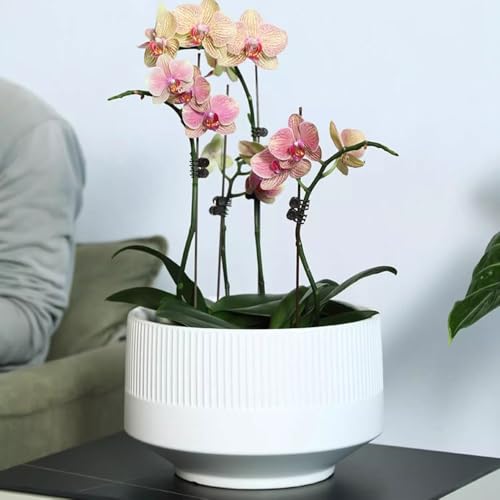 Récipient for plantes rond en céramique blanche texturée haut de gamme - 7