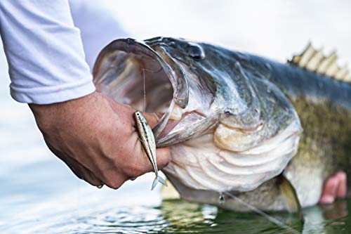 Image of PowerBait Natural Glitter Trout Bait