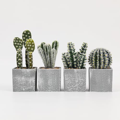 Petites plantes succulentes réalistes pour décorer une table de salon - 6
