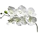 Calcifer® 10 Pcs Artificial Real Touch Latex Phalaenopsis Orchid Stem Bouquets with 2 Leaves Artificial Flowers for Wedding Party Home Garden Decor (White&Yellow Heart)