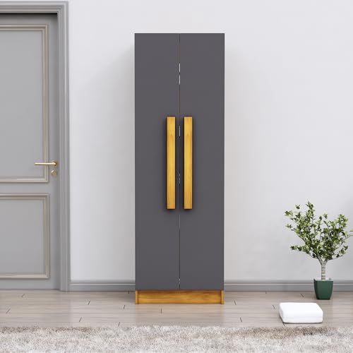 Image of Bniture Wooden Almirah for Clothes, Door for Bedroom, 2 Door Wardrobe with 4 Shelves Huge Storage Space (46D x 60W x 182H CM) | 3 Year Warranty (Giant Wood & Slate Grey)