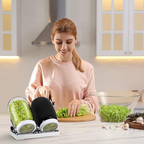 Kit de germination de graines LemonRoad 18 pcs avec 4 bocaux Mason - 3