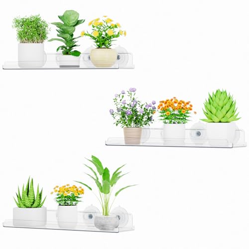 Baldas marca Lifewit