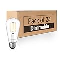 Lumiverse 24 Pack E26 Vintage LED Edison Bulbs CRI 90+, 5.5W 60W Equivalent Dimmable, Antique Style ST19/ST58 LED Light Filament Bulbs 4000K Cool White