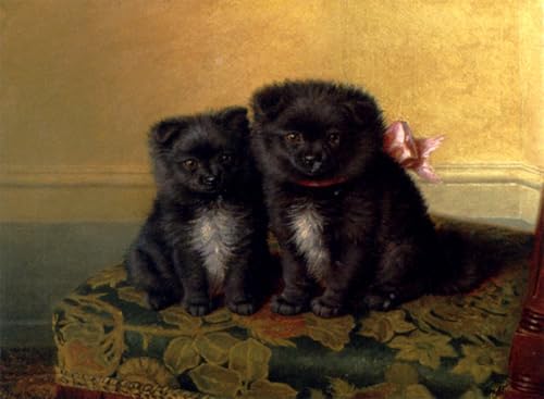 Toile Décor Art Mural Classique Horatio Henry Couldery Tableau Deux Chow Pups 60x90cm
