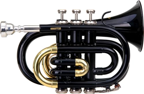 Classic Cantabile Brass TT-400 Trompette de Poche en Sib (laiton, pavillon diamètre : 93 mm, perce : 11,8 mm, accord : Sib, incl. étui léger, embouchure,...