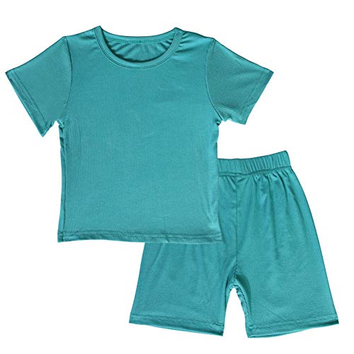 JWWN Toddler Girls Boys Short Sleeve Pajamas Set Little Kids Sleepwear 2 Piece Summer Loungewear (Blue,5T)